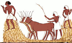 The World History of Agriculture